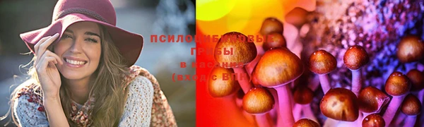 MDMA Пролетарск