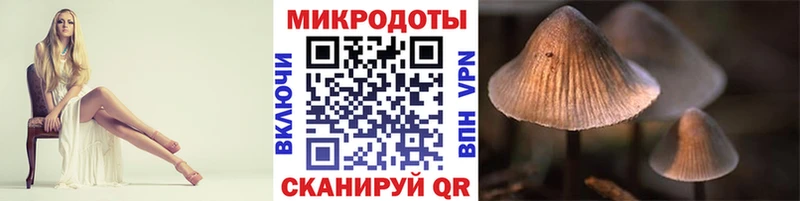 даркнет клад  Снежногорск  Галлюциногенные грибы Magic Shrooms 