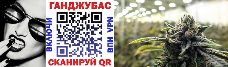 мега tor  наркота  Снежногорск  Канабис сатива 
